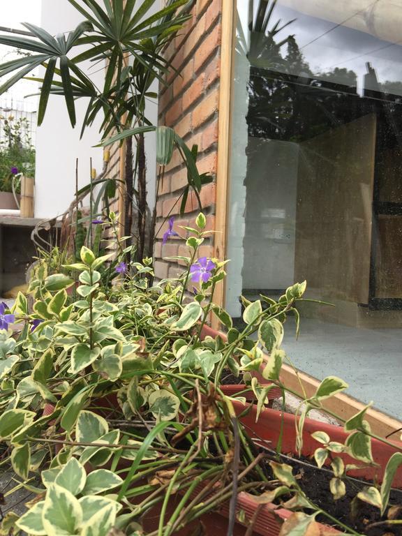 "Bambu Sierra" Cozzy Ecological Lofts Apartment Cuenca Bagian luar foto